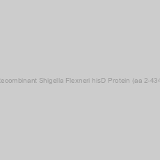 Image of Recombinant Shigella Flexneri hisD Protein (aa 2-434)